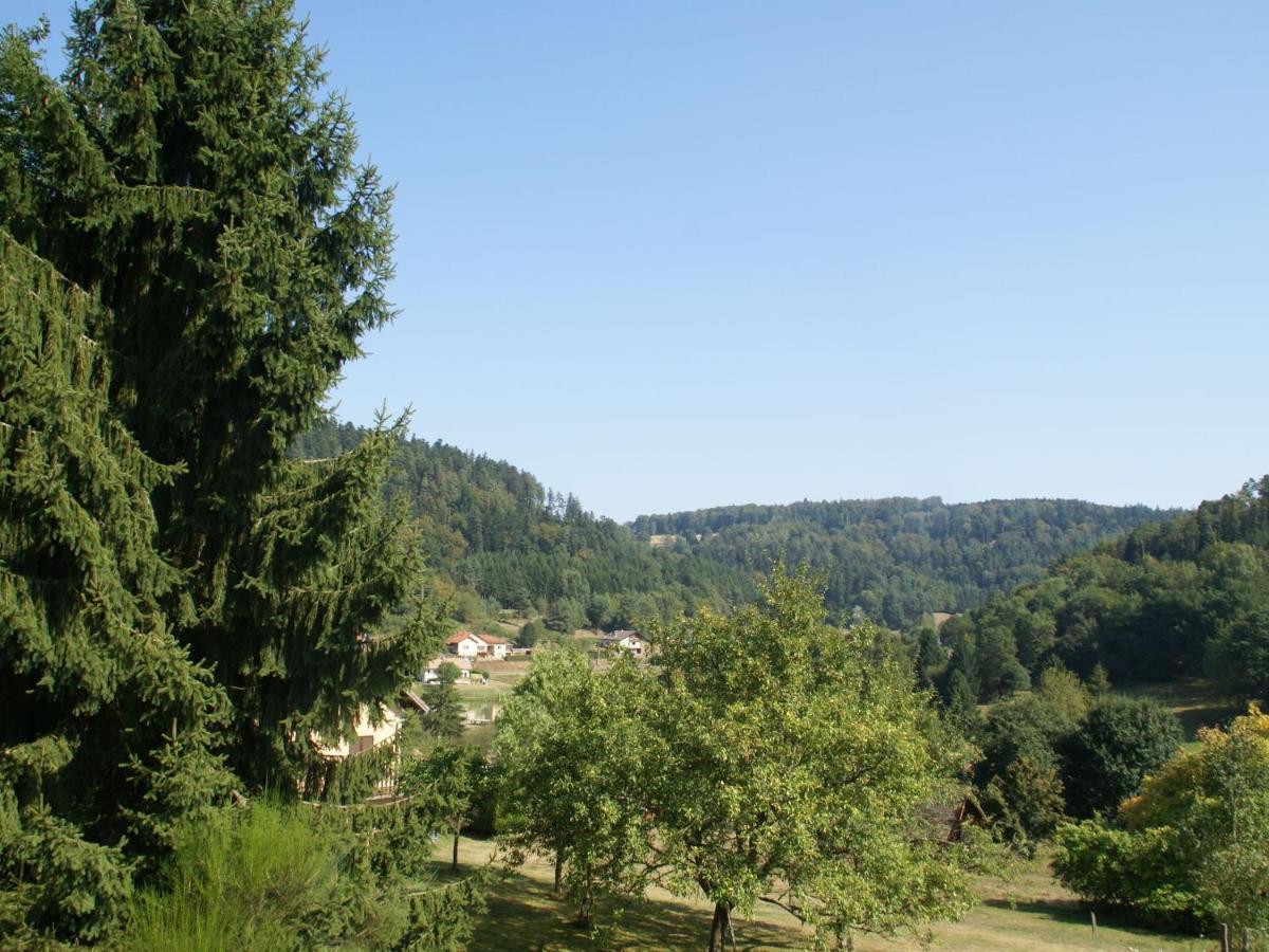 Charming Chalet In Ventron With Terrace Camera foto